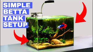 Check our post for the best betta fish tank reviews so you can provide your betta fish with a suitable environment. Building A Simple Betta Tank Tutorial Youtube