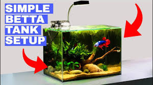 Since betta fish can survive in many different types of environments, people think it's a good idea to pick a sizable tank for your betta. Building A Simple Betta Tank Tutorial Youtube
