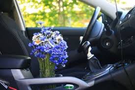 Загрузите потрясающие бесплатные изображения о flower car. Rejting Luchshih Aromatizatorov Dlya Avto Top 10 Kakoj Vybrat Osvezhitel Vozduha V Mashinu