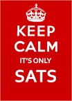 Image result for sats