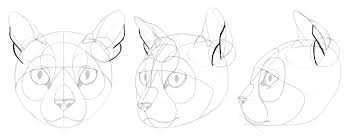 We did not find results for: Sketchbook Original How To Draw Cats Monika Zagrobelna