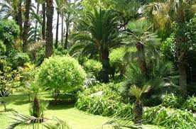 Jardin De L Agdal