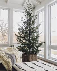 Simple Holiday Decor Christmas Tree Undecorated Christmas Tree Basket Christmastreedecor Modernholiday Nordic Christmas Christmas Home Christmas Lollipops