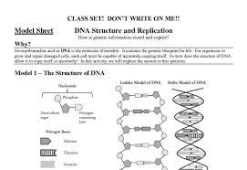 Dna replication worksheet with answer key worksheets #152541469006. Structure Of Dna And Replication Worksheet Answers Unit 12 Worksheet List