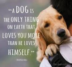 Quotes for Dog Lovers on Pinterest | Dogs, Dog Quotes and Dog Art via Relatably.com