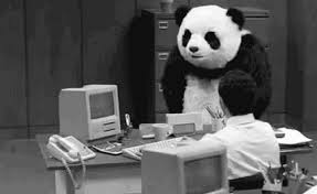 Noc stillwater also was cleared. Discussion Man In Panda Suit Makes Bomb Threat At Baltimore Tv Station Tpm Article Topics Discourse