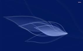We did not find results for: Transparent Wallpapers Top Free Transparent Backgrounds Wallpaperaccess