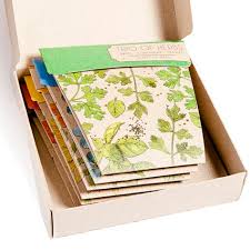 Gift Of Seeds Set Of 6 Sunflower Seeds Gift Seed Box Seeds Gifts