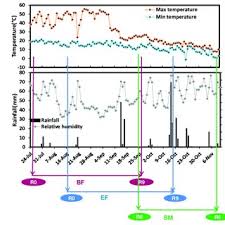 Here are some average weather facts we collected from our historical climate data Daily Minimum And Maximum Temperature Relative Humidity And Rainfall Download Scientific Diagram