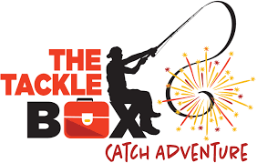 Building the “Box”