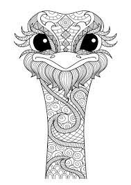 A beautiful bestiary just waiting to be printed and colored. Pin On Eskizy