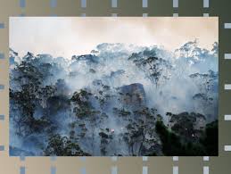 When becoming members of the site, you could use the full range of functions and enjoy the most exciting. Here S What The World Will Look Like In 2030 Right Wired