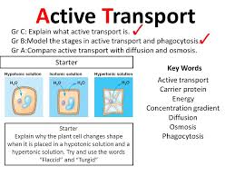 We did not find results for: Concentration Gradient Ppt Video Online Download