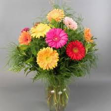 Places university college life fayetteville fayetteville arkansas arkansas razorbacks university campus university of arkansas arkansas. Fayetteville Florist And Gifts Northwest Arkansas Florist Flower Delivery Gifts Fayetteville Ar 72703