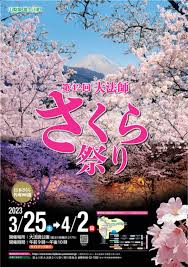 The 42nd Fujikawa Daiboshi Cherry Blossom Festival] Daiboshi Park | Events  in Yamanashi | PORTA