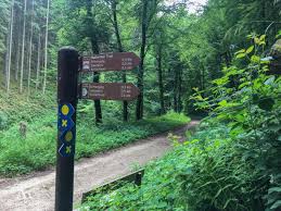 Der weg besteht aus drei routen mit je zwei etappen und vier extratouren: Der Mullerthal Trail Unser Top 10 Tipps Rund Um Berdorf Und Echternach