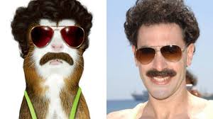 Los 'pets' se disfrazan de celebrities