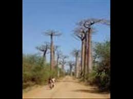 Tsara Ny Hiran Ny Taniko Eric Manana Country Roads Eric Tree