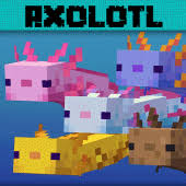 Axolotl mod minecraft recipes with ingredients,nutritions,instructions and related recipes. Axolotls Mod Hd For Minecraft Pe Axolotl Pack Int 28 0710 Apks Com Hati Axolotl Apk Download