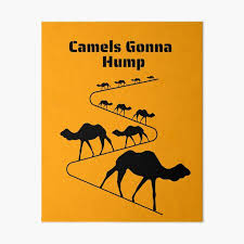 How you dune?how you dune? Camels Gonna Hump Funny Camel Design Art Board Print By Daveycopeland Redbubble