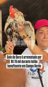 🚨Galo de Ouro &eacute; arrematado por R$ 70 mil durante leil&atilde;o beneficente em Campo Verde., Um dos momentos que mais chamou aten&ccedil;&atilde;o durante o Leil&atilde;o Beneficente &ldquo;Elo em Prol da Vida&rdquo;, realizado em Campo ...