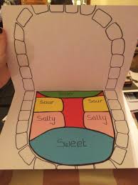 Diagram Of Tongue For Children The Five Senses Senses Preschool Five Senses Preschool Preschool Learning Activities
