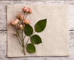 Maybe you would like to learn more about one of these? How To Dry Flowers Fast Gordon Boswell