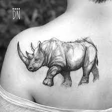 Pin On Rhino