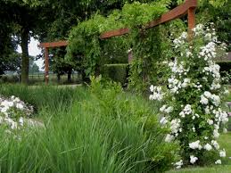 cortenstaal pergola begroeid met blauwe regen en rozen design oxalis tuinontwerpen construction jeroen haentjes ph tuinontwerp meditatietuin pergola dak