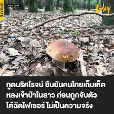 หน้าแรก ข่าวการเมือง กต.แจง 7 คนไทยเก็บเห็ดถูกจับในลาว ต้องกักตัว 14 วัน ไม่ยืนยันฉีดวัคซีนหรือไม่ Qzbbo0adkkzvnm