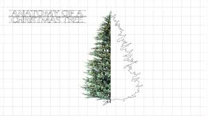 Victorian Fir Artificial Christmas Trees Platinum Collection Treetime