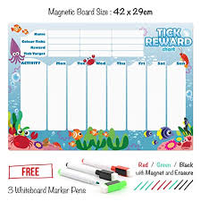 Ckb Ltd Magnetic Reward Chart Ocean Creatures Fridge Board 7