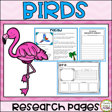 Birds That Start With A Vowel Birds Research Pages Read And Write About 10 Different Birds In 2020 Reading Writing Different Birds Writing