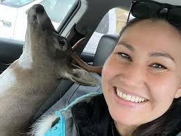 Thank you Precision Taxidermy in Fairbanks Alaska for an amazing well done  mount! #tagemandbagem #amazingmemories #huntingwithdad #juneauhunt2021