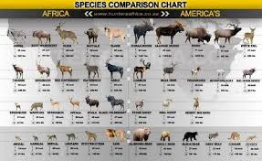 Species Africa Hunting Deer Species Big Game Hunting
