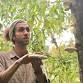 Autumn foraging Brighton, with TASTERS. event image