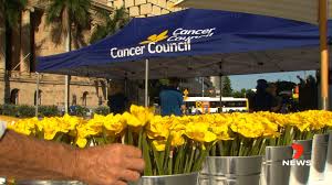 Our retail shop and warehouse is located in queensland's gold coast. 7news Brisbane Have You Spotted A Giant Yellow Flower In Facebook