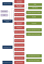 organizational chart