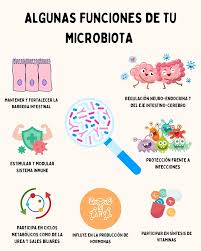 La microbiota intestinal es esencial para la salud porque actúa como una  capa de protección frente a patógenos, fortalece la barrera intestinal y  ayuda a entrenar y regular el sistema inmunitario. Además,