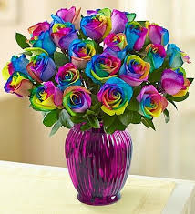 We did not find results for: 1800flowers Kaleidoscope Roses 24 Stems With Purple Vase Buy Online In Angola At Desertcart 6977871