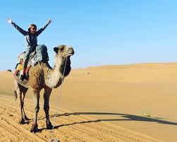 You can take a camel trip and overnight in the sahara desert. Tripadvisor Camel Trekking Excursion Overnight Desert Camp Merzouga Desert Erg Chebbi Dunes Provided By Merzouga Dunes Hassilabied