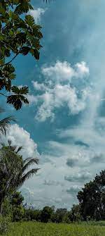 Tentunya gambar kartun ini dibuat manual oleh manusia. Langit Biru Gambar Alam Pemandangan Fotografi Alam