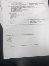 The cell wall is a critical structural component of almost all bacteria, and regulating cell wall metabolism is central to growth and division. 1 A Function Of Lipopolysaccharide Is To A Help Chegg Com
