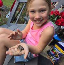 Looking for someone to cut my grass by Saturday. Lawn care specialist only.