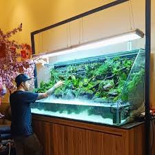 Artemy Ivanov Adli Kullanicinin Akvaryum Tasarim Panosundaki Pin Aquascaping Planted Aquarium Tatlisu Akvaryumu