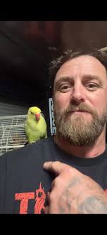 It's me, I'm the lost penguin.