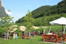 The trail is primarily used for hiking, walking, running, and nature trips. Nur Etwas Fur Schweinefleischliebhaber Pulker S Heuriger Rossatz Reisebewertungen Tripadvisor