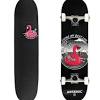 Check out flamingo merch on bonfire and shop official merchandise today! Https Encrypted Tbn0 Gstatic Com Images Q Tbn And9gcqpliqtm9gq S5tqx07tq3vzntcyjtohkbfk J I7jplinxeffj Usqp Cau