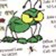 Termite and pest management services might help lower statistics and your house protected from damage. Bad Boys Termite Pest Control Galloway Area Alignable
