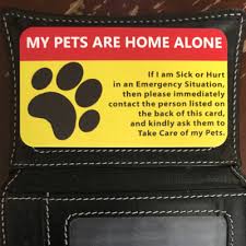 Care.com is an online marketplace for childcare, senior care, special needs care, tutoring, pet care, and housekeeping through membership in. Emergency Pet Keyring Tag Our Pet Card